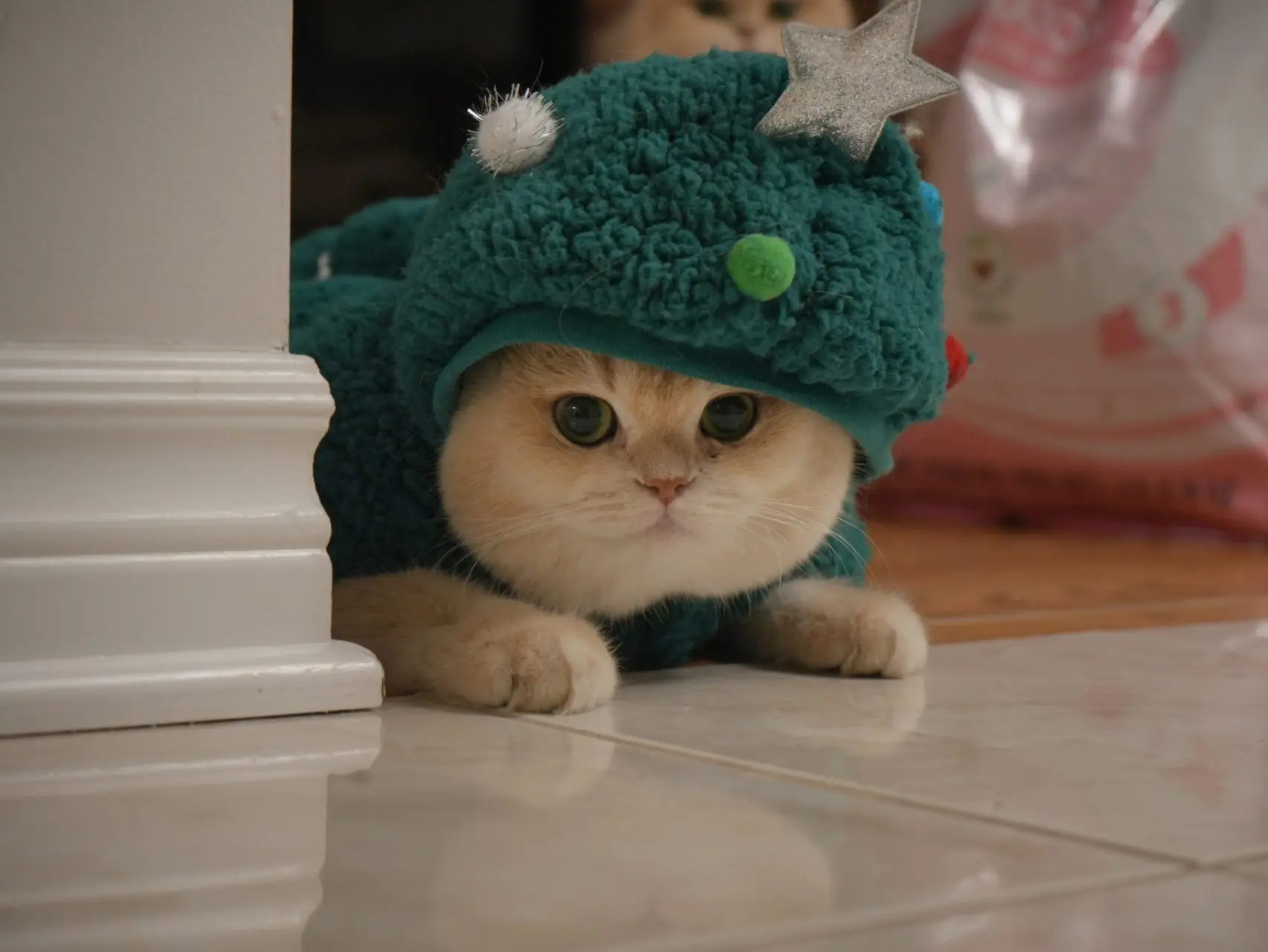 Mochi